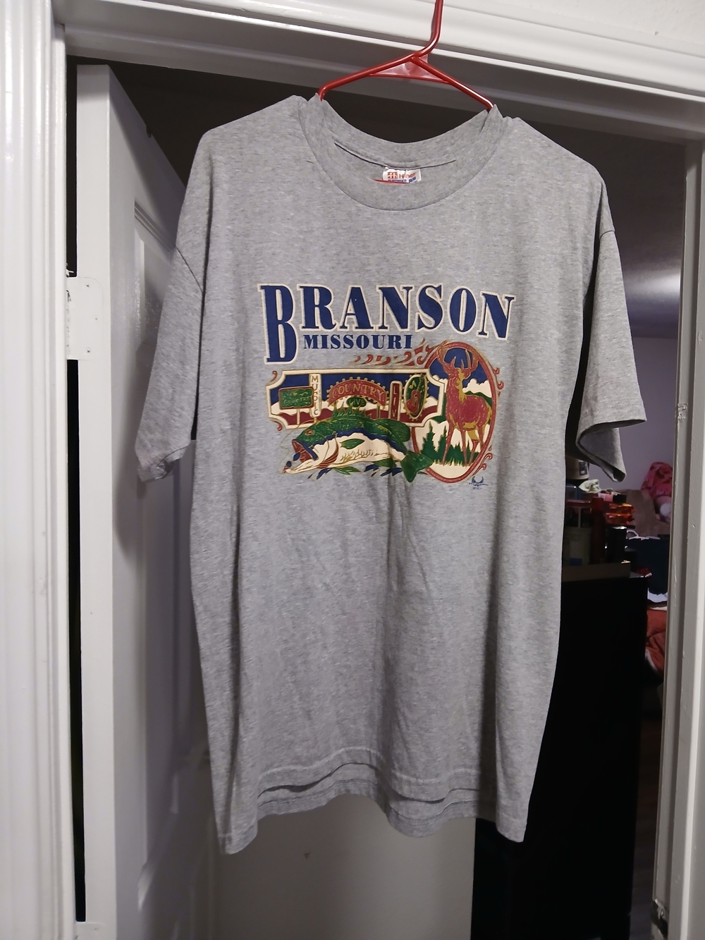 Hanes Gray Branson Missouri Graphic Tee with Multicolor Outdoor Print